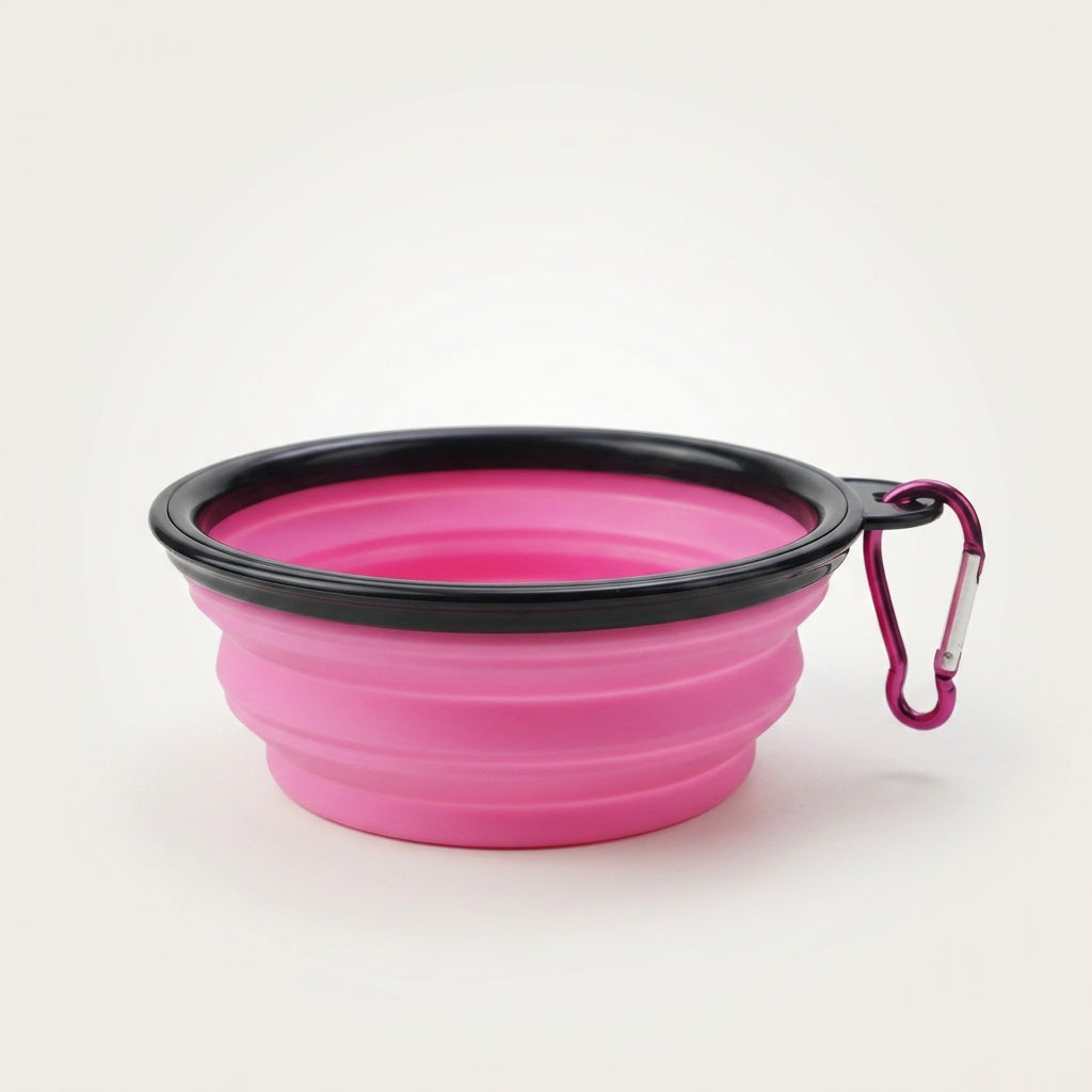 Bol pliable pour chien