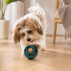 Fillable Food Dog Toys Dog Slow Licking Silicone Feeder Ball Frozen Food Tray Interactive Teeth Cleaning Slow Feeding Dispenser