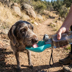 800ML Large Dog Water Bottle Dispenser For Small Big Dogs Portable Travel Pet Drinking Bowls Bulldog Labrador Feeder Supplies