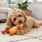 Peluche - Canard en velours côtelé pour chiens
