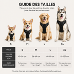 Harnais ajustable pour chien – Confort optimal et meilleure répartition de la traction