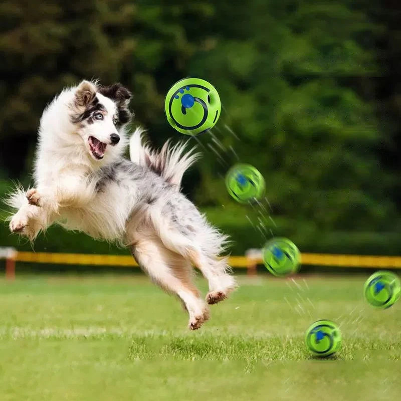 Balle sonore pour chien