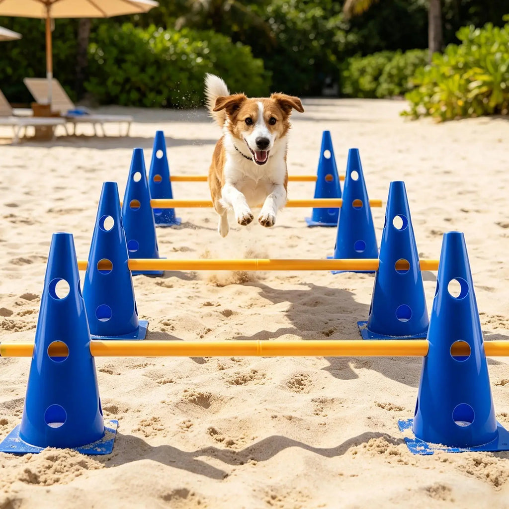 Dog Agility Hurdle & Cone Set Adjustable Obstacle Course for Backyard, Training Equipment for Puppy Small Medium Large Breed